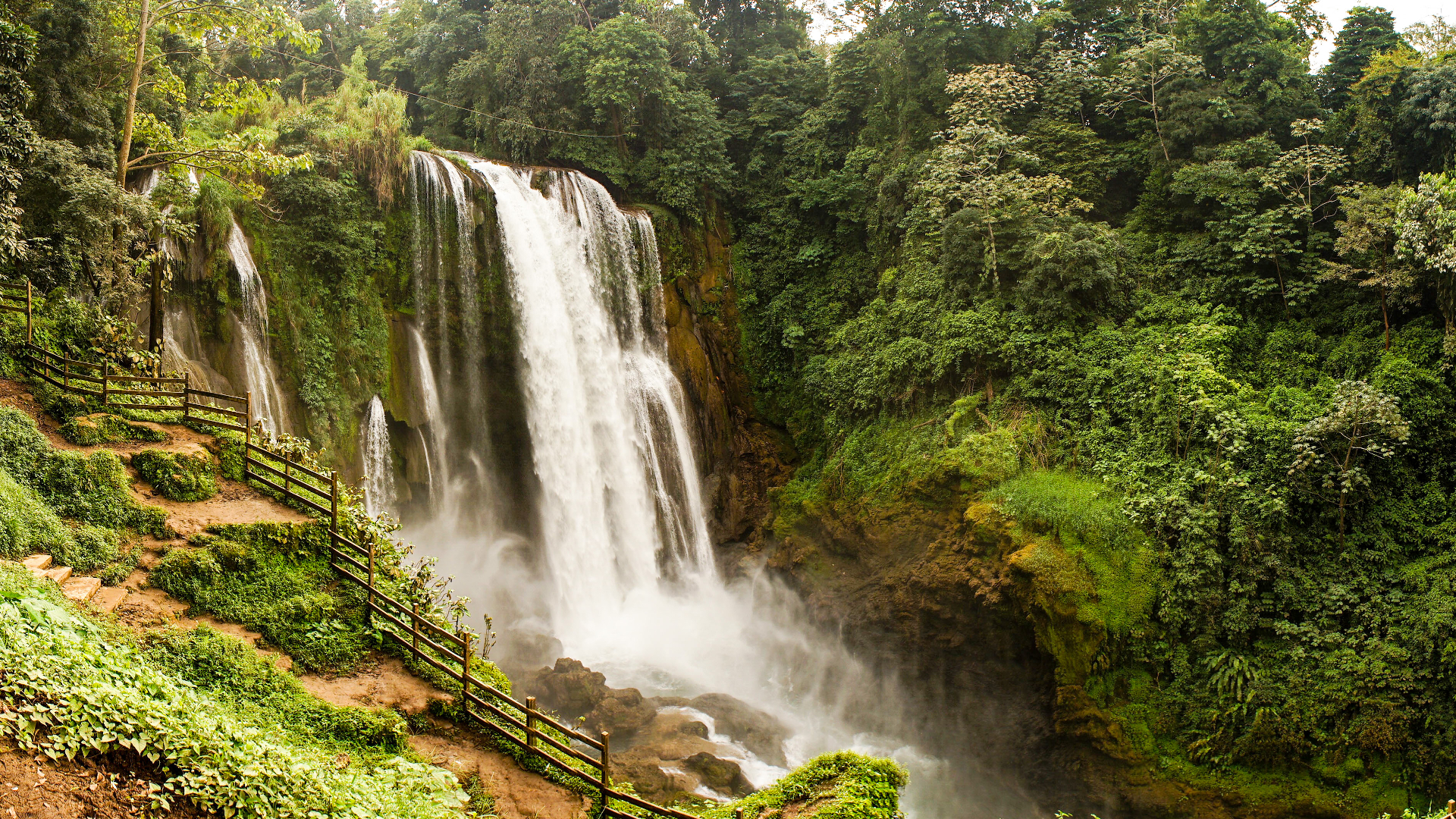 shutterstock 1031067718 - Honduras