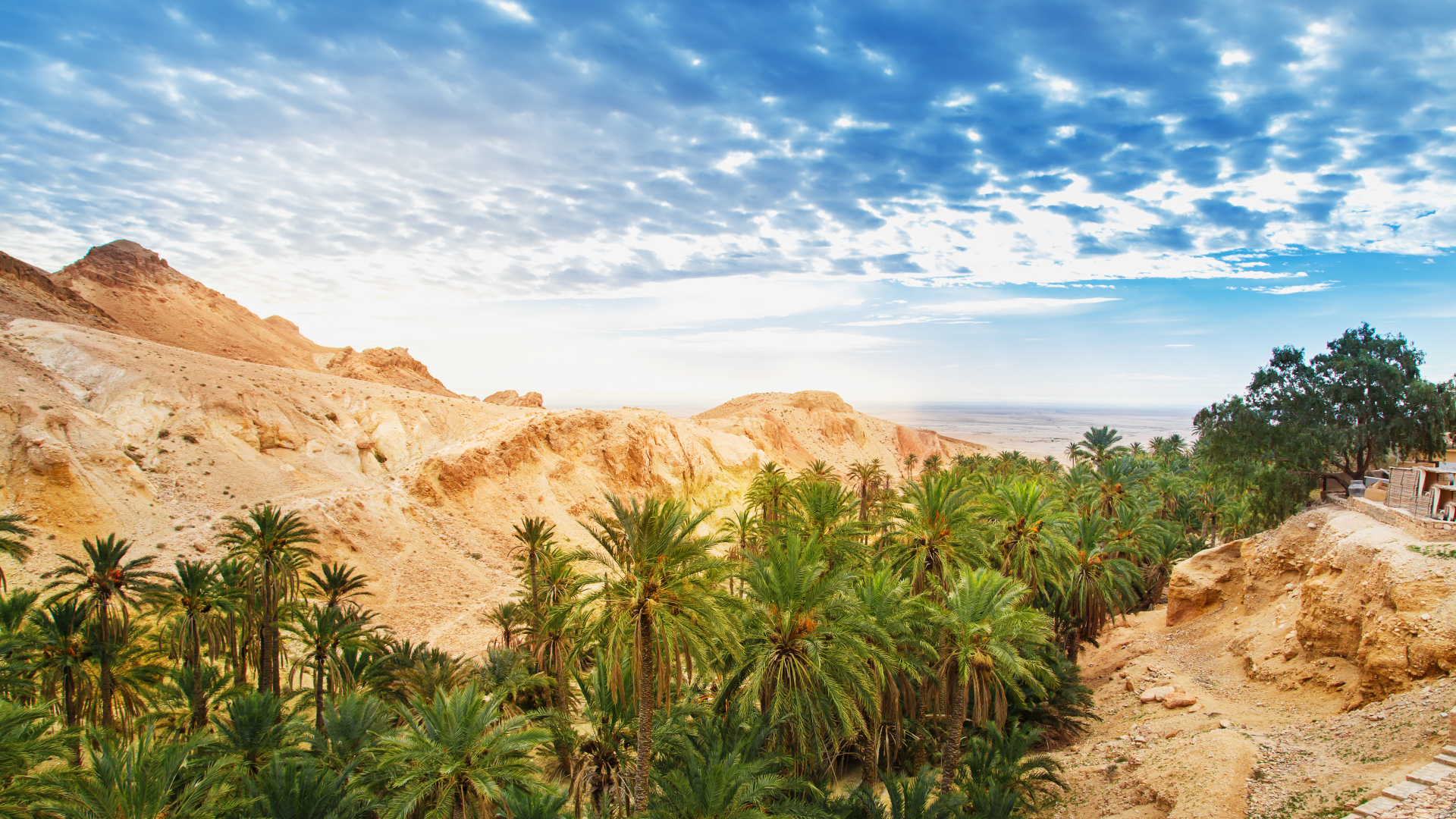 shutterstock 1103057951 - Tunisia