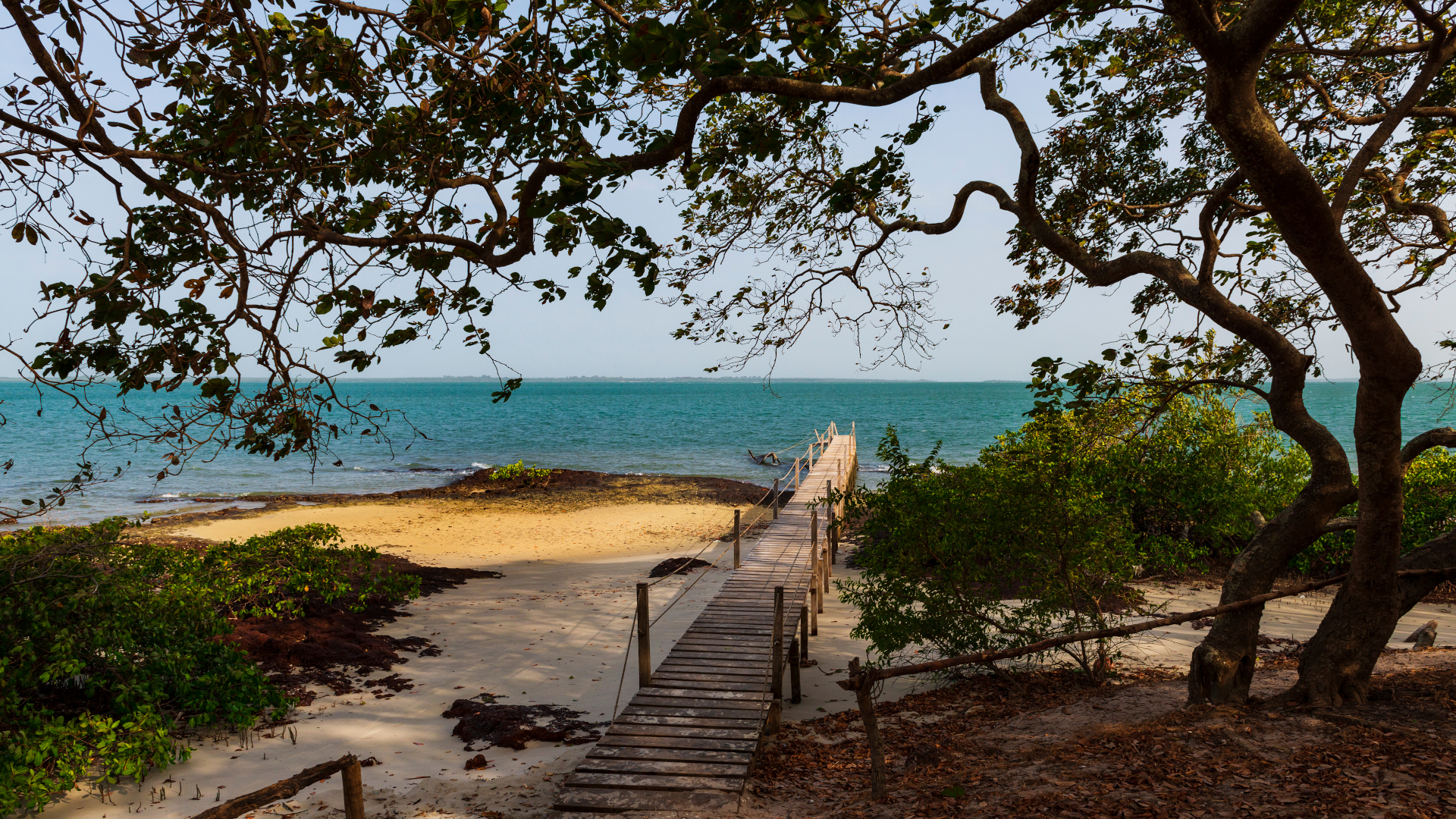 shutterstock 1201394848 - Guinea-Bissau