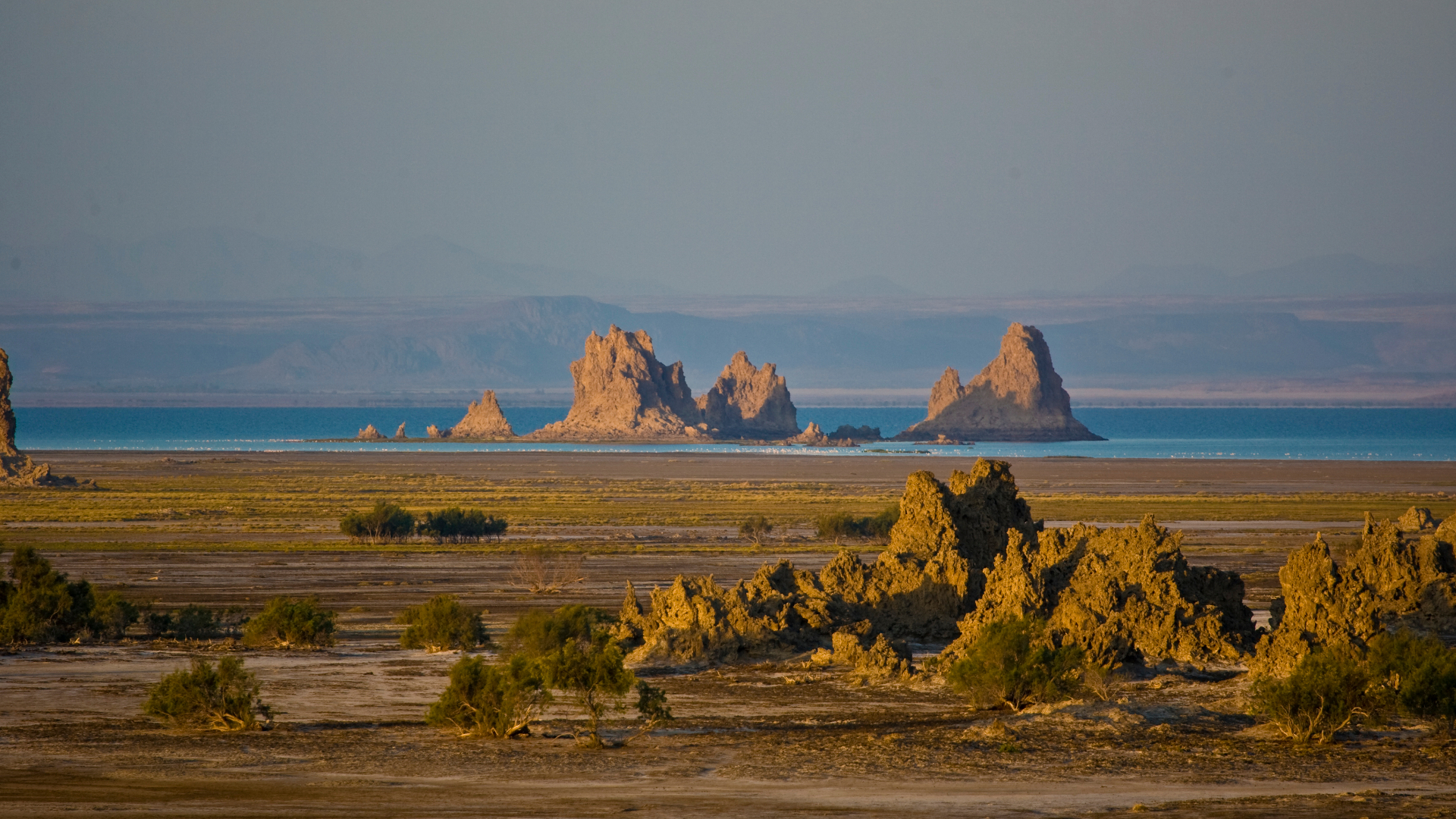 shutterstock 1226641174 - Djibouti