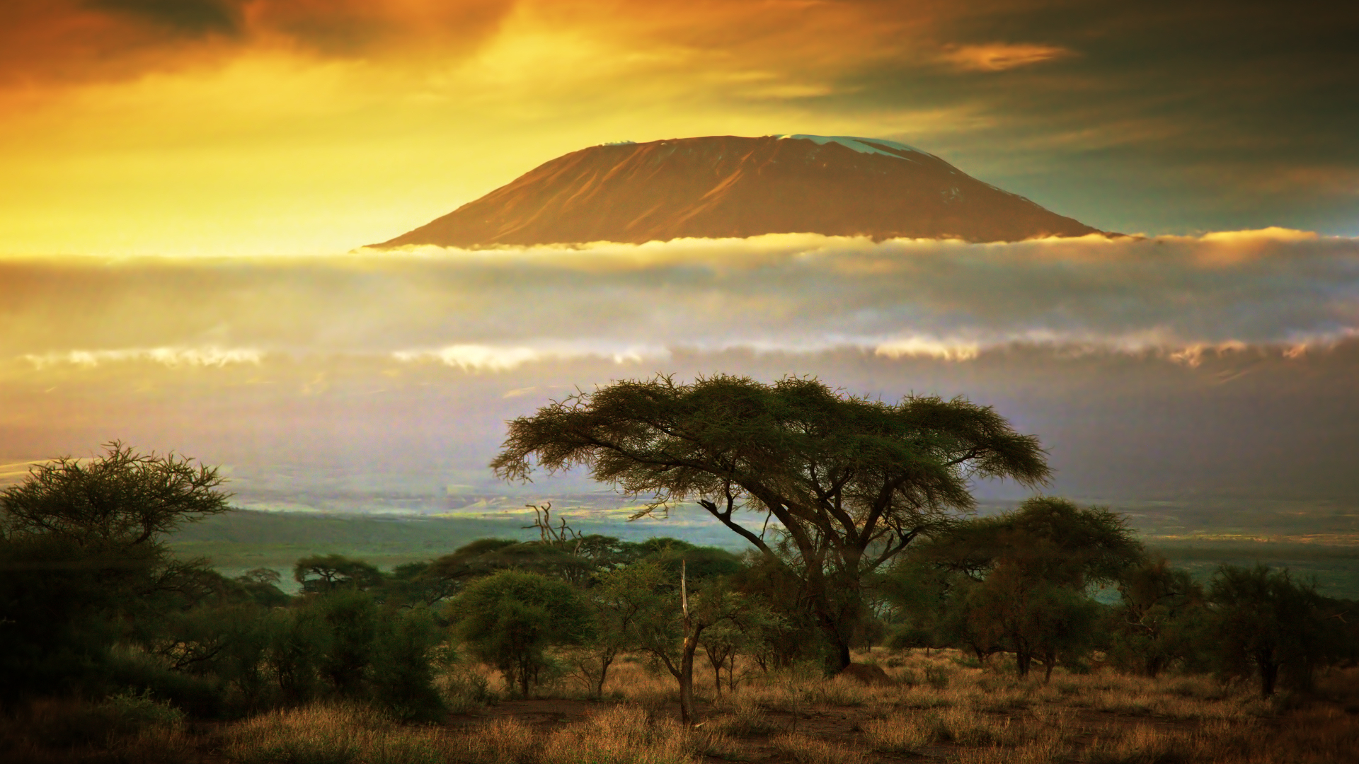 shutterstock 128193347 - Kenya