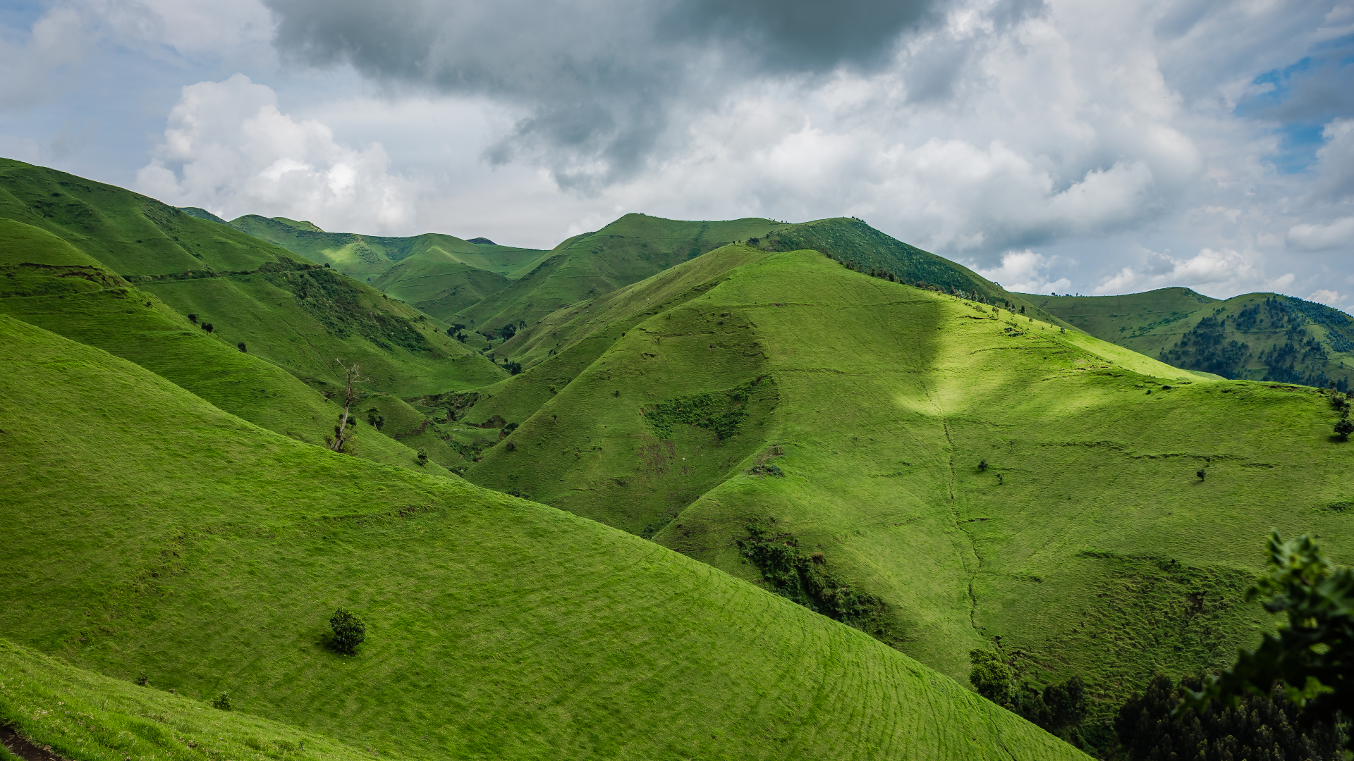 shutterstock 1383893585 - DR Congo