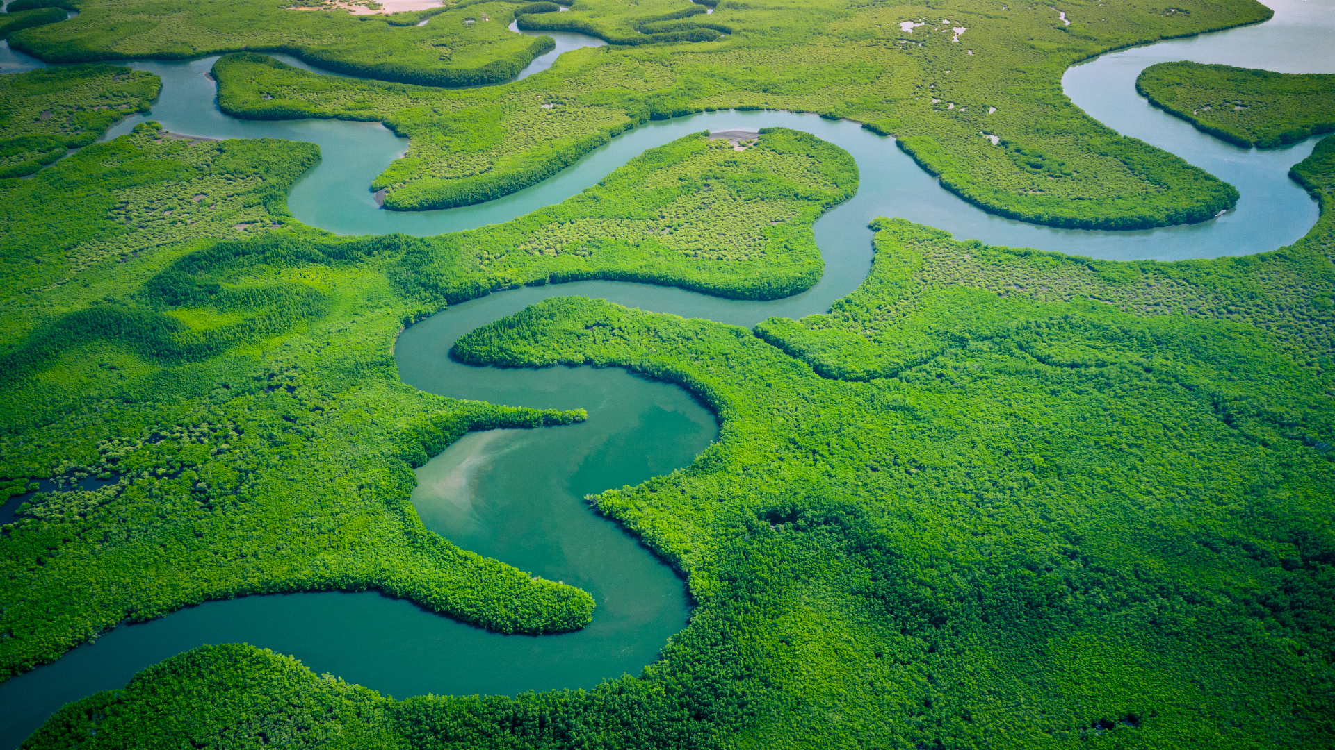 shutterstock 1571135383 - Gambia