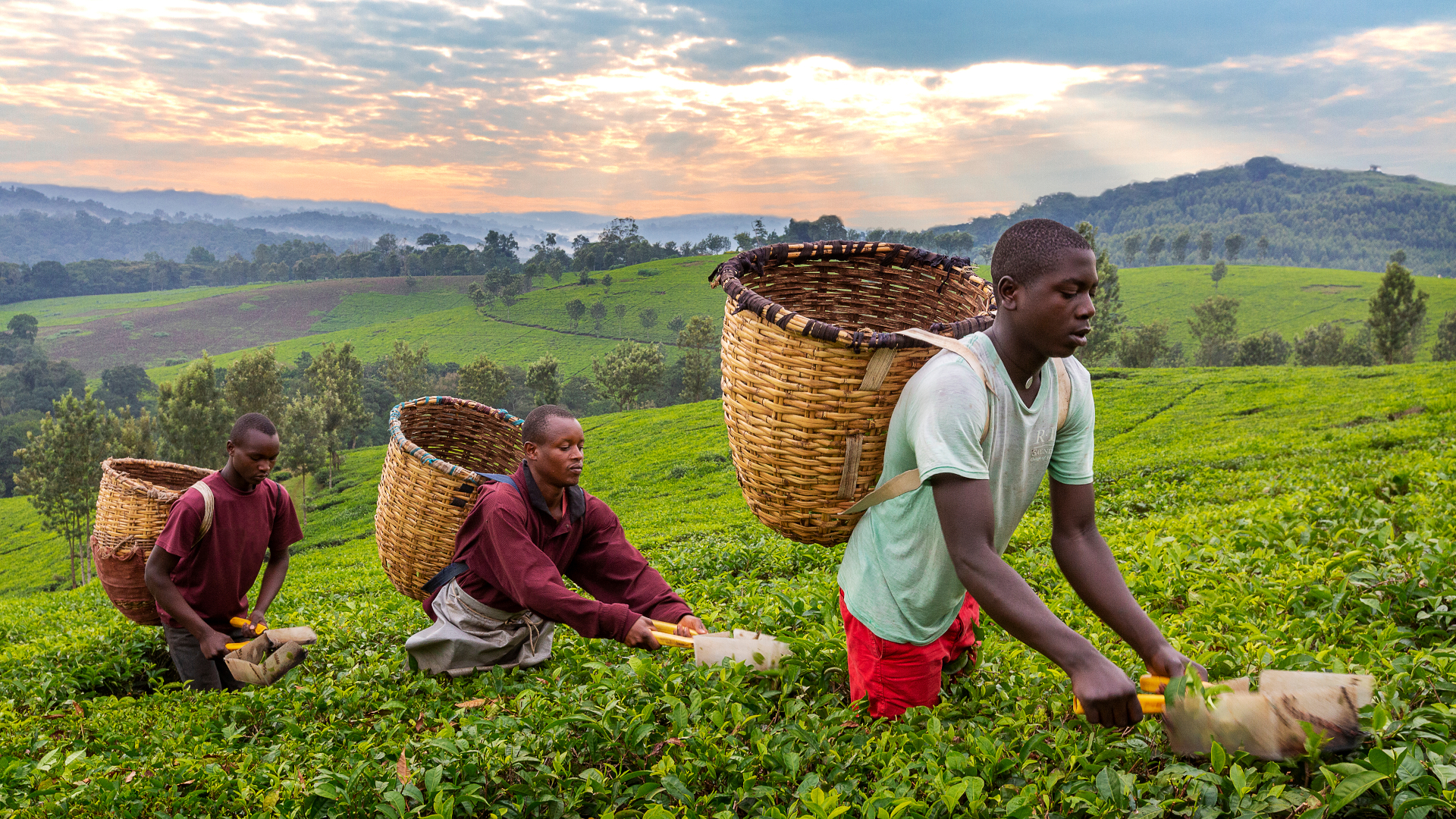 shutterstock 1575595273 - Uganda