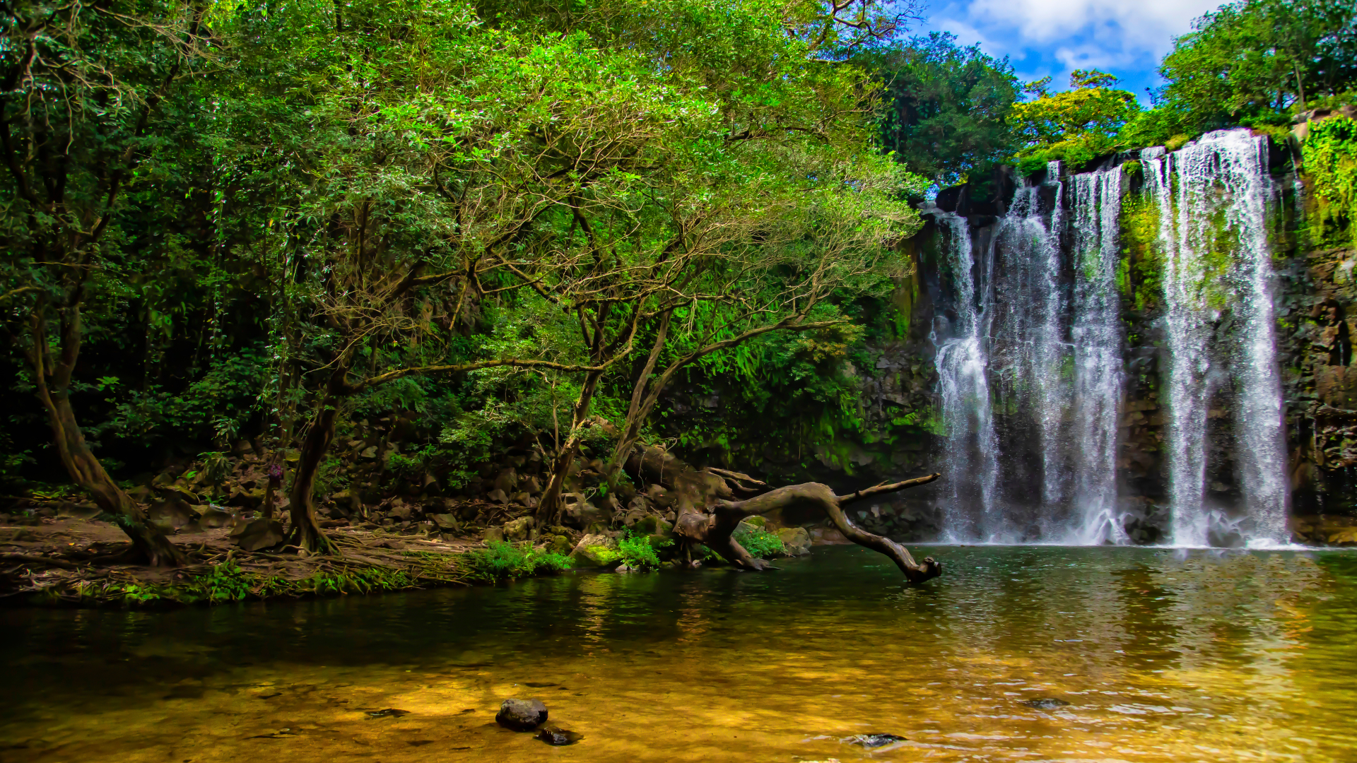 shutterstock 1594559821 - Costa Rica