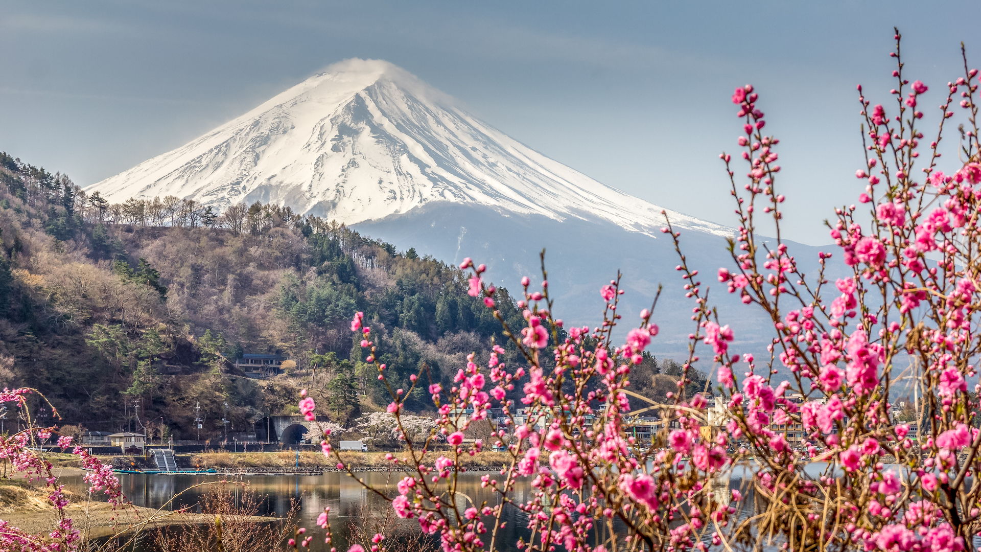 shutterstock 1598501662 - Japan