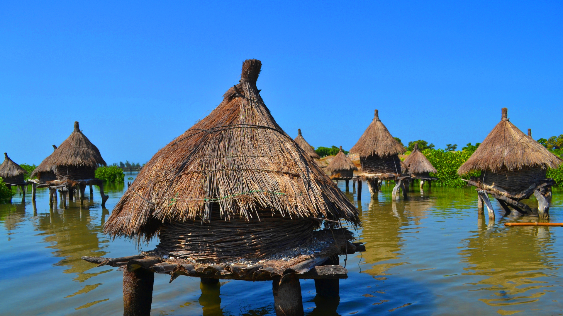 shutterstock 1788080108 - Senegal