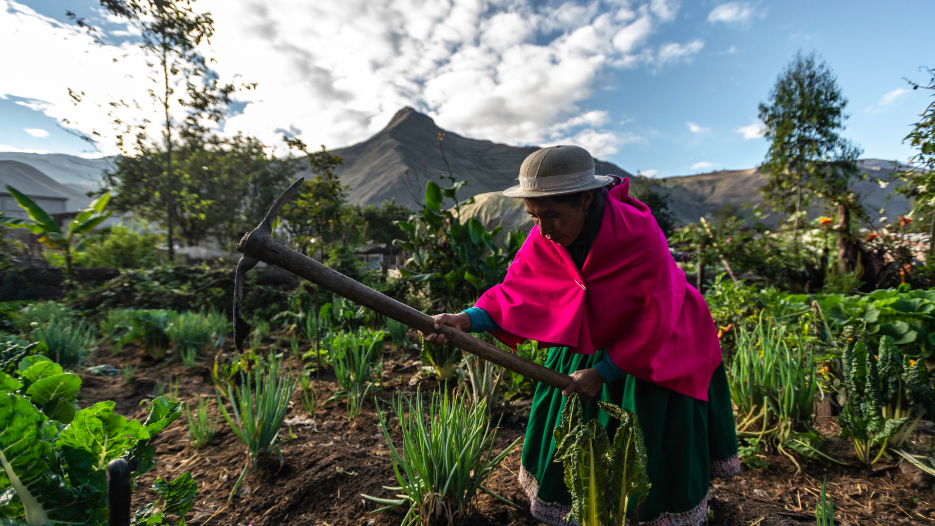 shutterstock 1790343047 - Ecuador