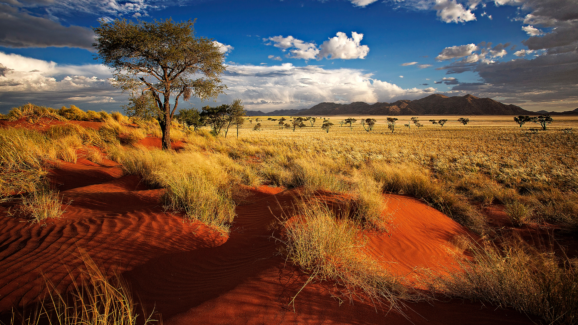 shutterstock 201561224 - Namibia