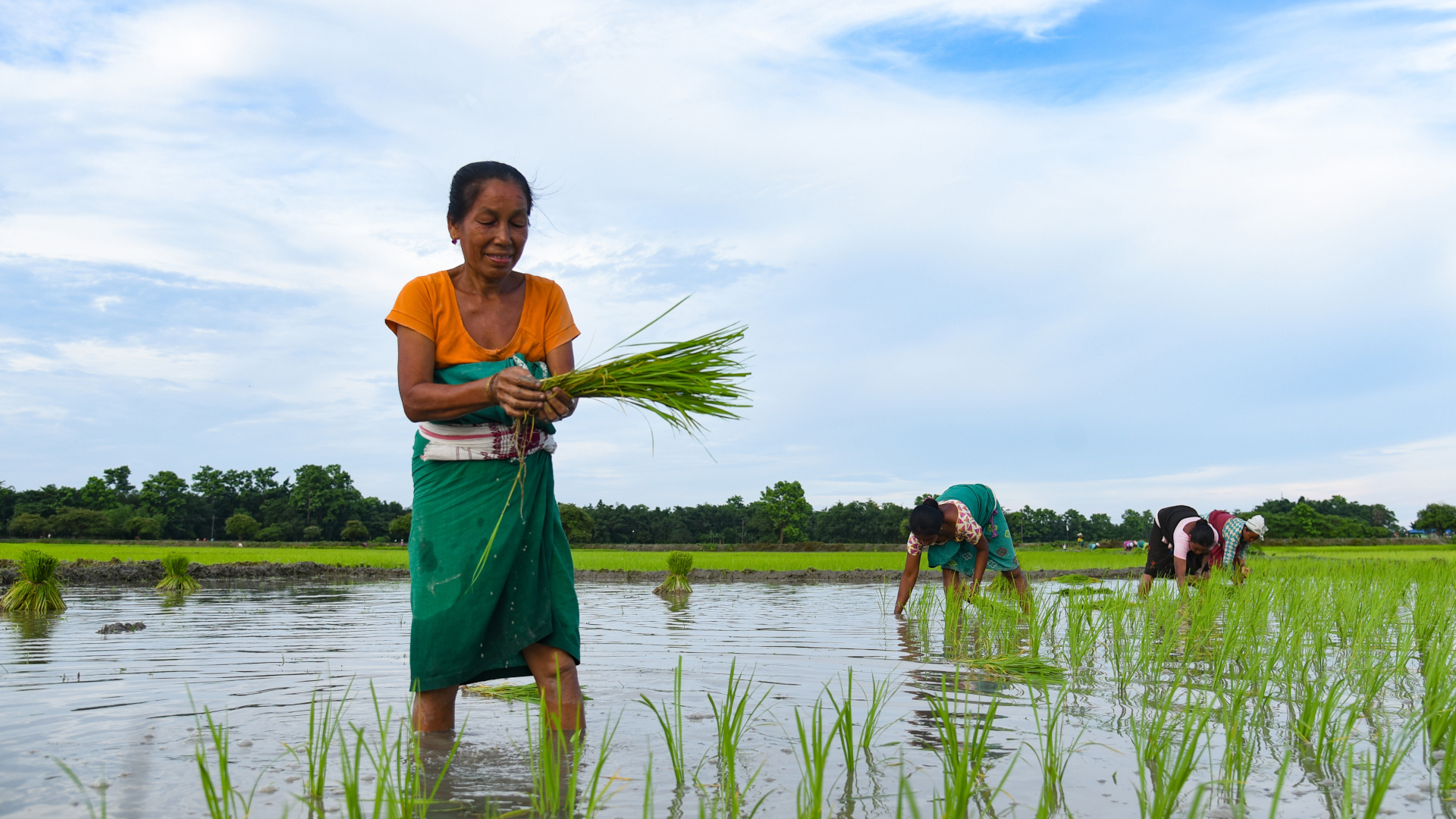 shutterstock 2020631888 - India