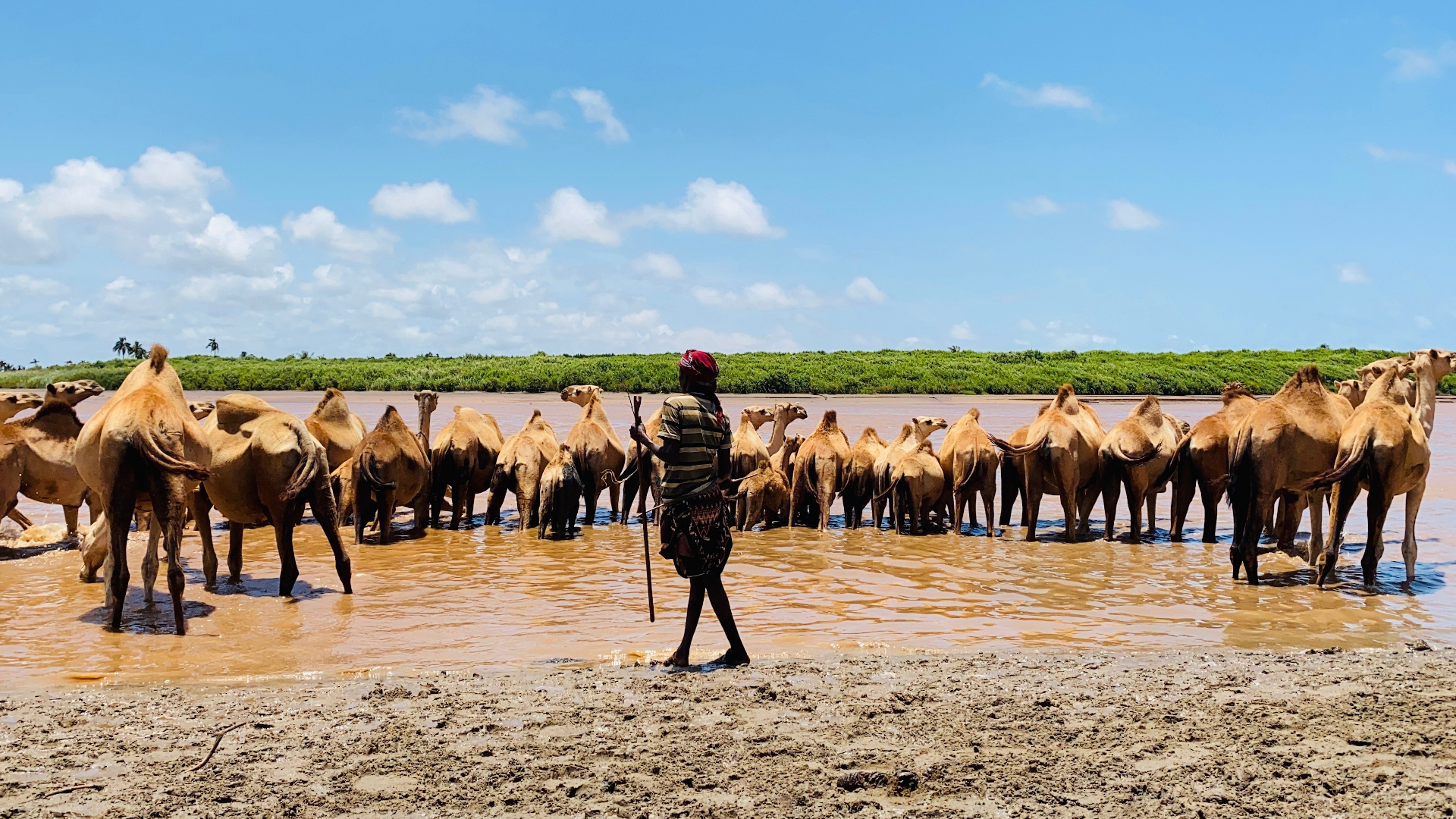 shutterstock 2138552479 - Somalia