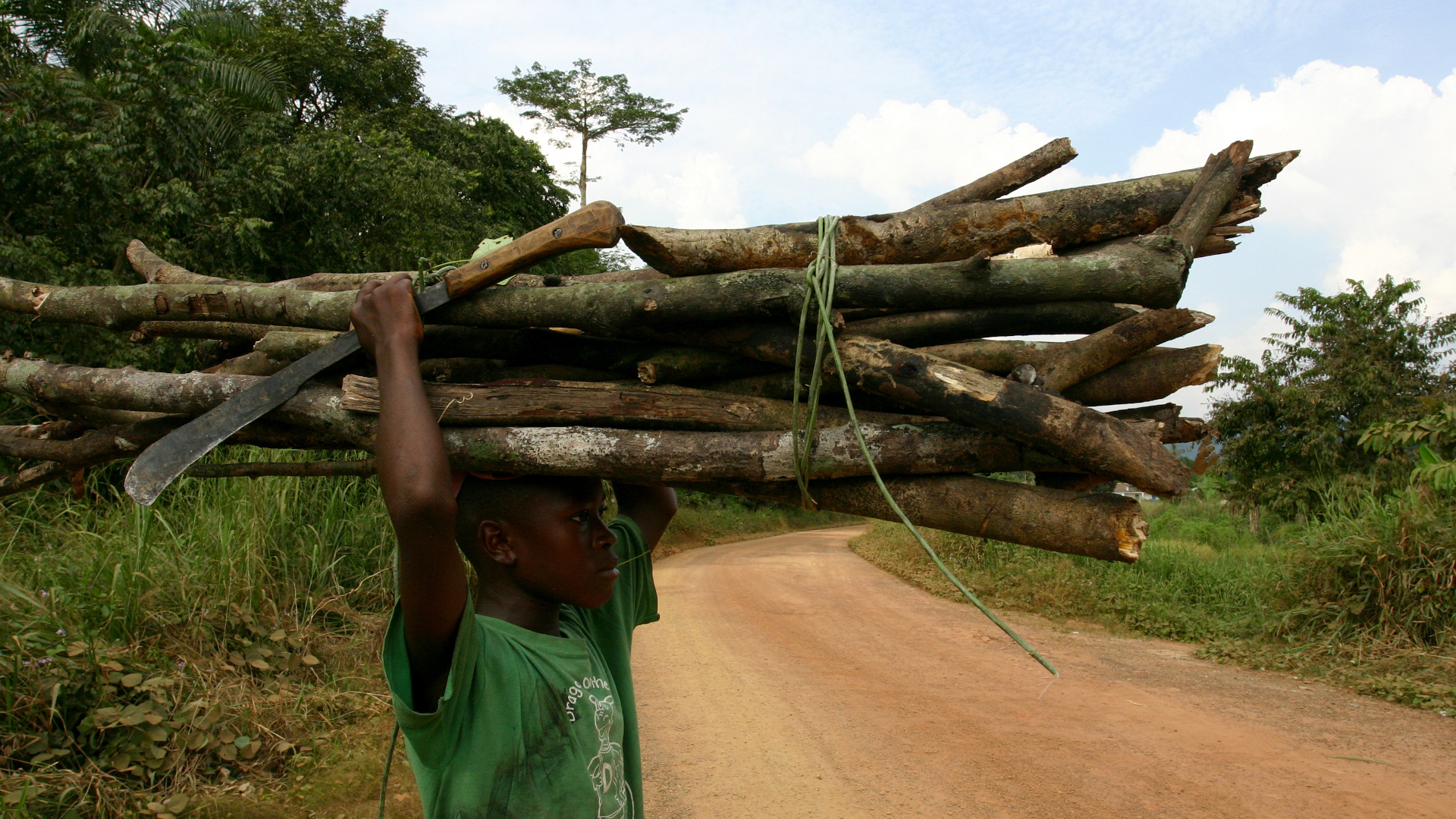 shutterstock 335613329 - Sierra Leone