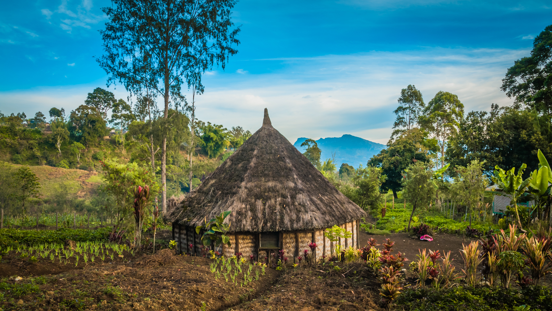 shutterstock 543131899 - Papua New Guinea